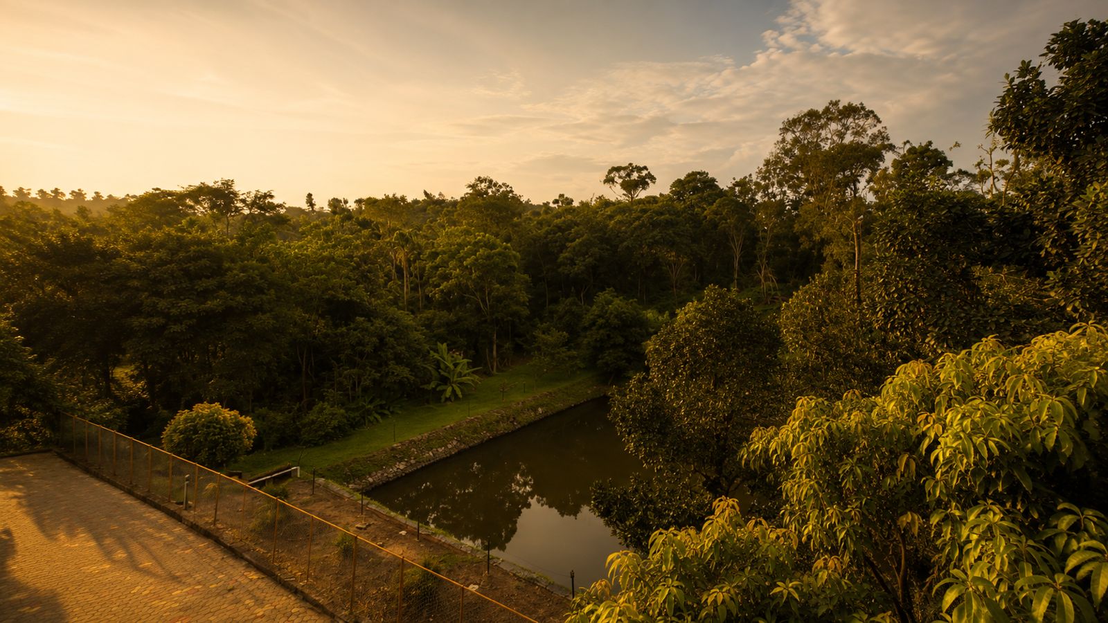 Serene Estate Lakeside View